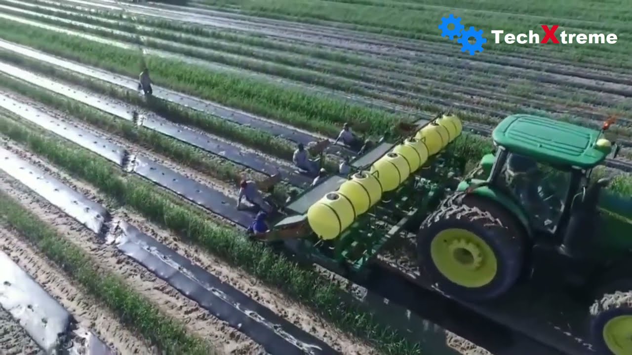 Worlds Largest Watermelon Farm. Watch How it is Grown in a modern way.