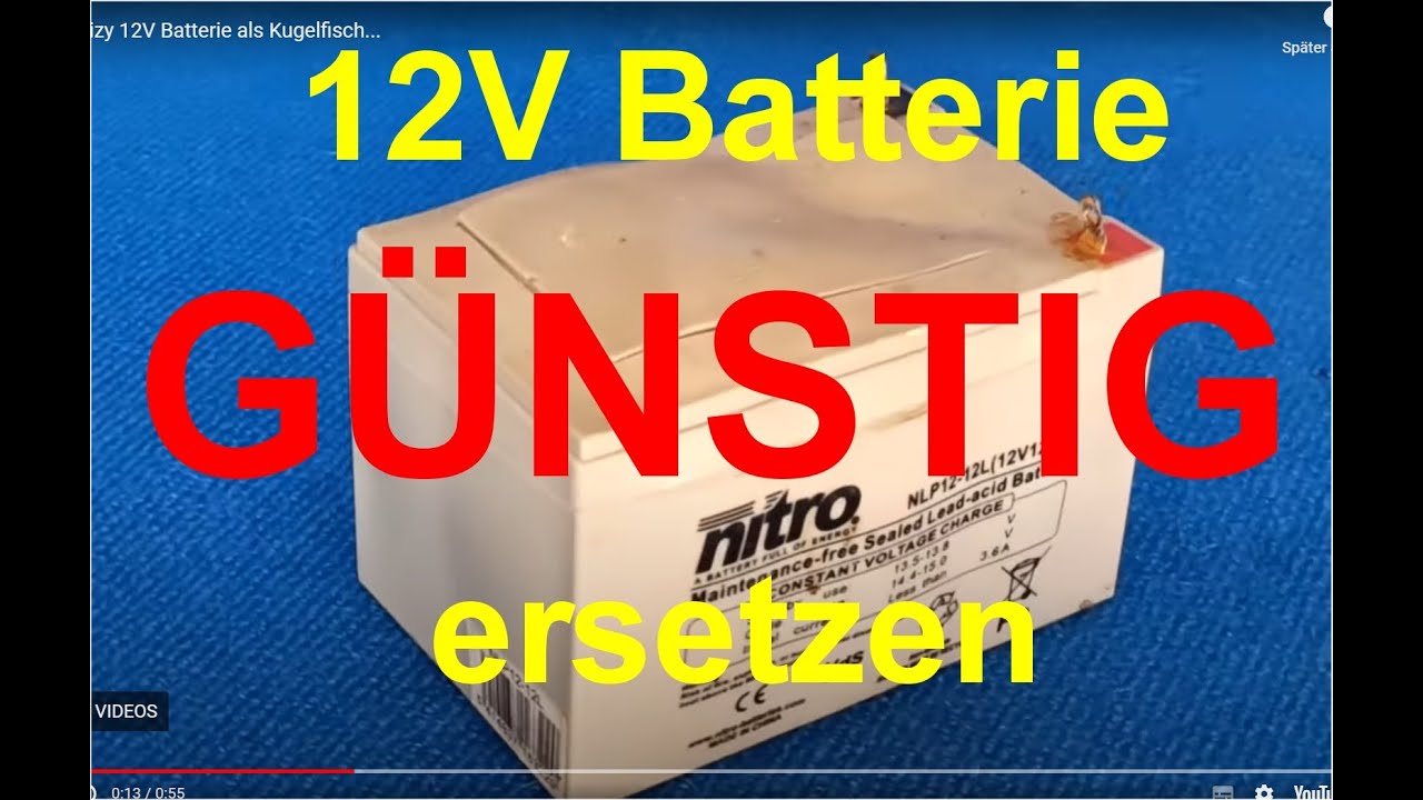 Twizy 12v Batterie GÜNSTIG ersetzen