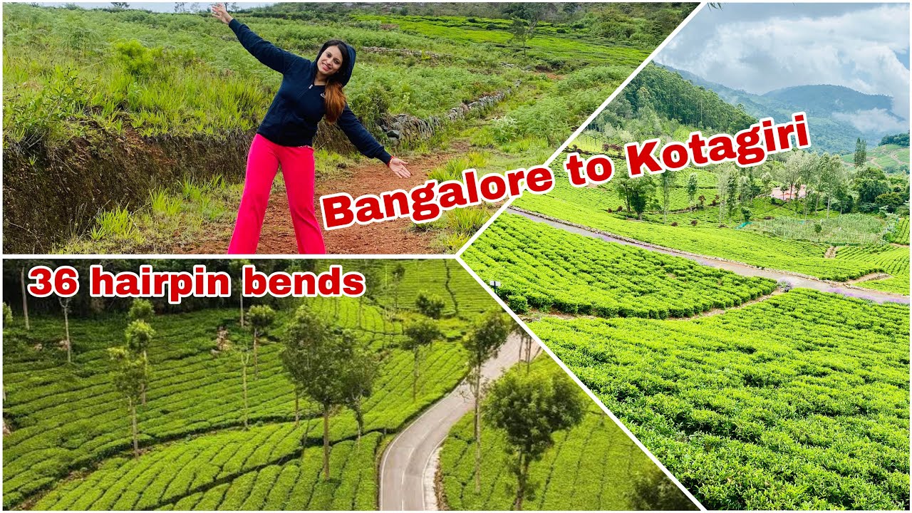 Bangalore to Kotagiri Roadtrip via Masinagudi part1|36 Hairpin Bends| Route Details| Road Conditions