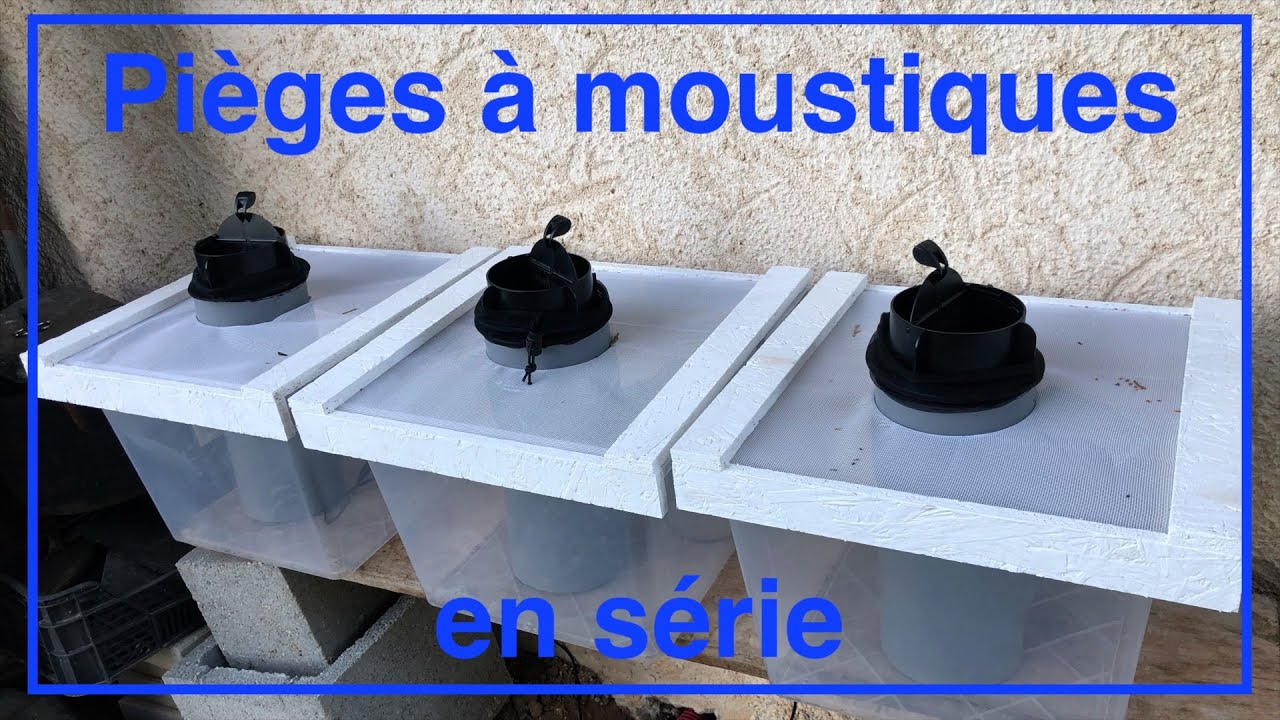 Fabrication en série de pièges à moustiques et comparaison d'appâts