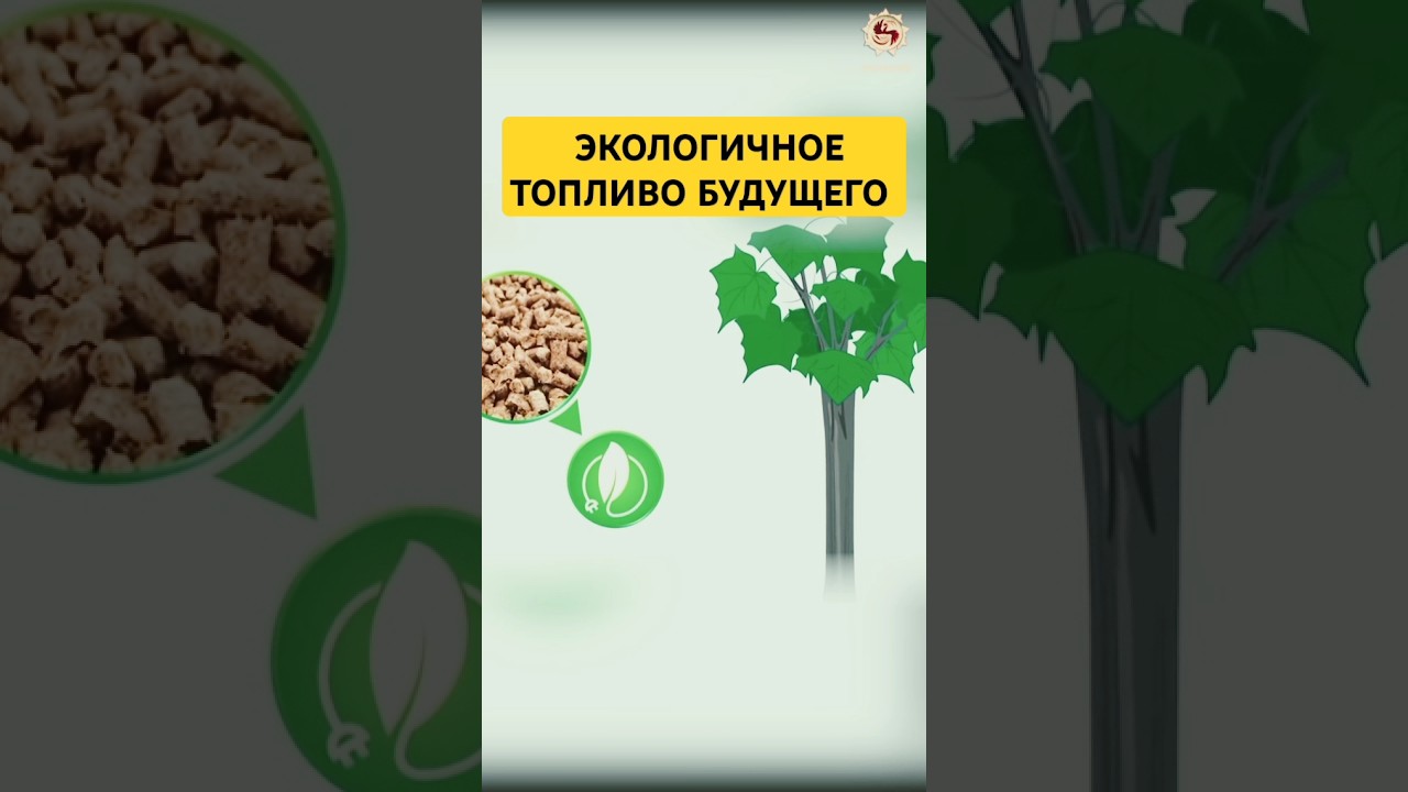 Биотопливо из уникального сырья #топливо #экология #альтернатива #биоэнергия