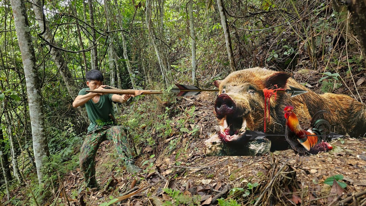 go into the deep forest suddenly discover traces of wild chicken, chase wild boar in the wilderness