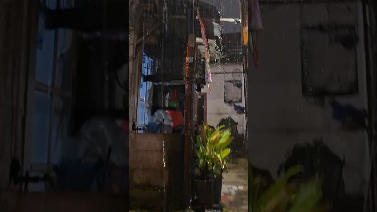 Soothing Rain (No Music) ☔ 