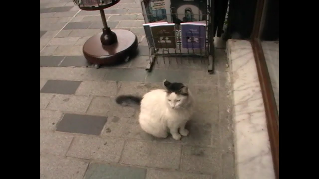 i love you istanbul (camcorder diaries)