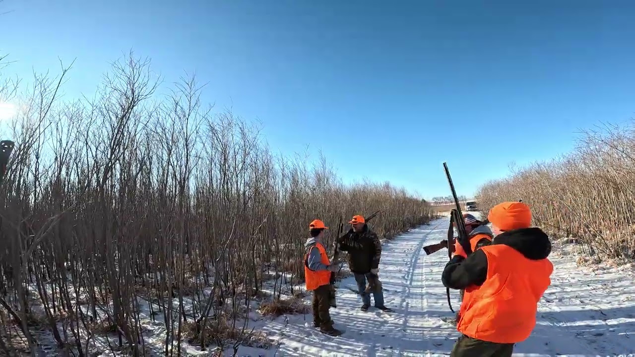 SD Pheasant Hunting 2025