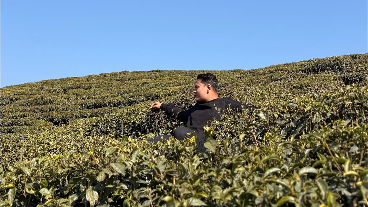 Part 2 | Dharan to Ilam 🌳– A Heartfelt Visit to My AMA❤️
