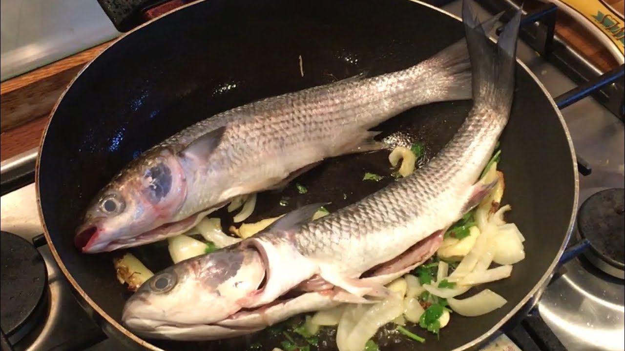 Delicious fish soup | Chinese style fish broth | grey mullet | how to cook fish soup|怎样做鱼汤|乌鱼汤