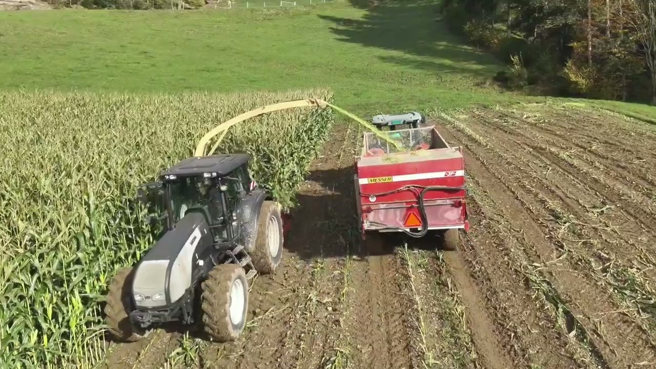 Maisernte geht fast schief 😱😱 AEBI/VALTRA/KRONE/SAME