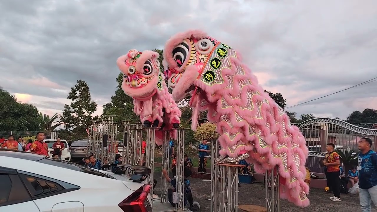 Twin Pink Lion Dance High Pole by Subang Lion Dance Penampang