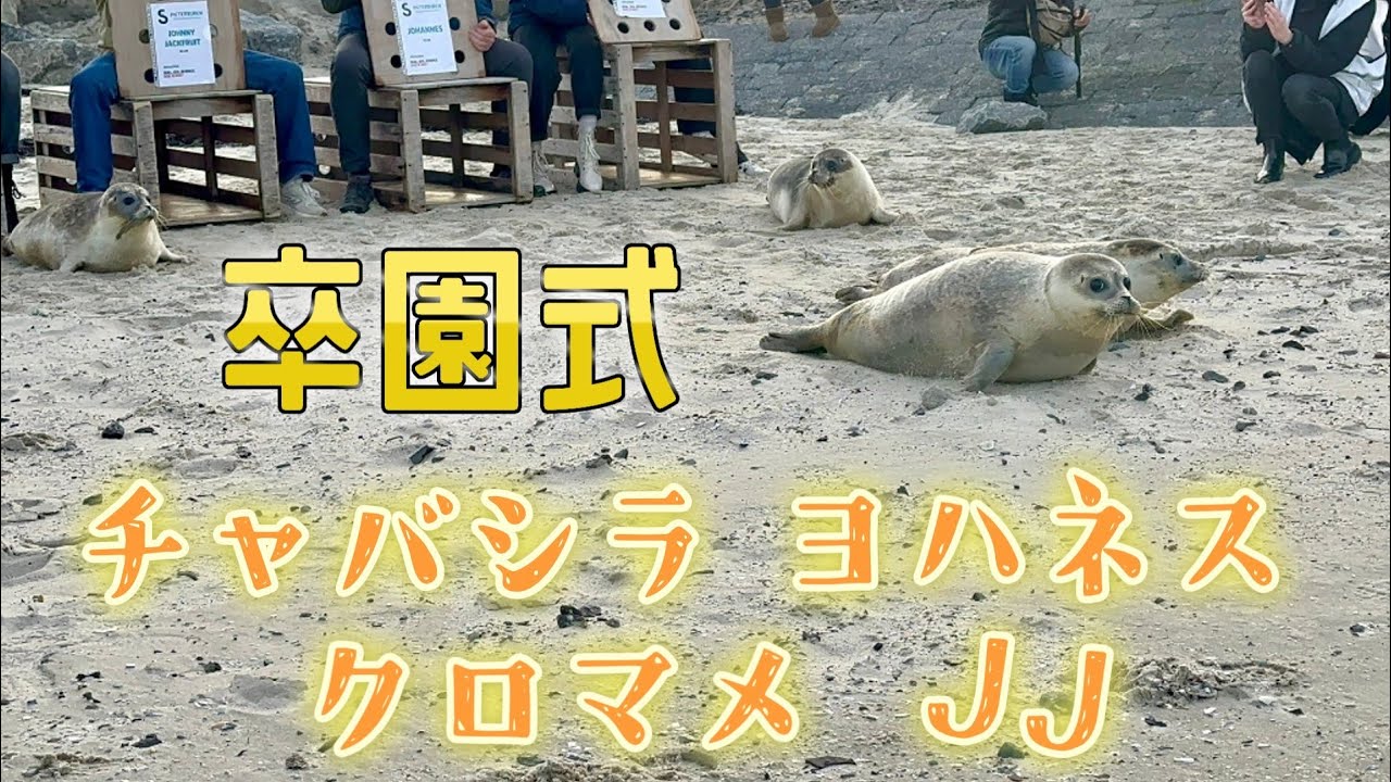 BIG4卒園式!!  スタッフさん撮影の卒園まとめアルバム  最後に感動サプライズも…みんないつまでも元気でね…