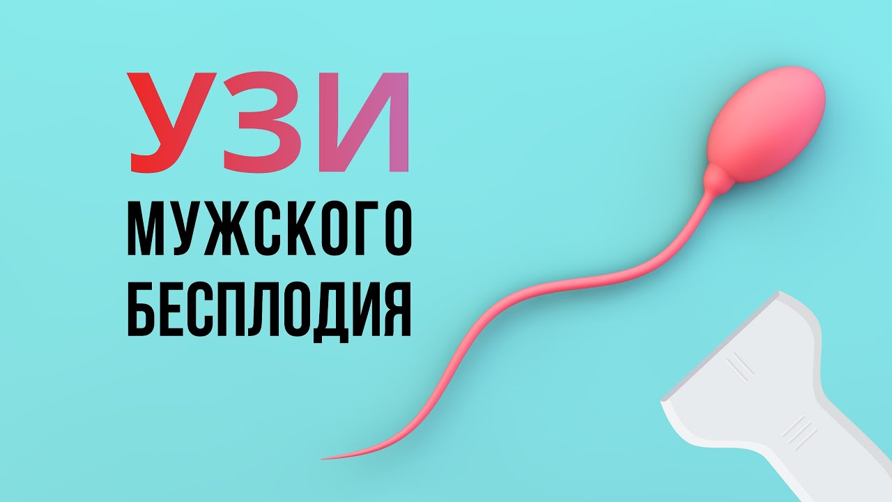 Диагностика мужского бесплодия. Роль УЗИ мошонки Топ 7 патологий яичка, ассоциированных с бесплодием
