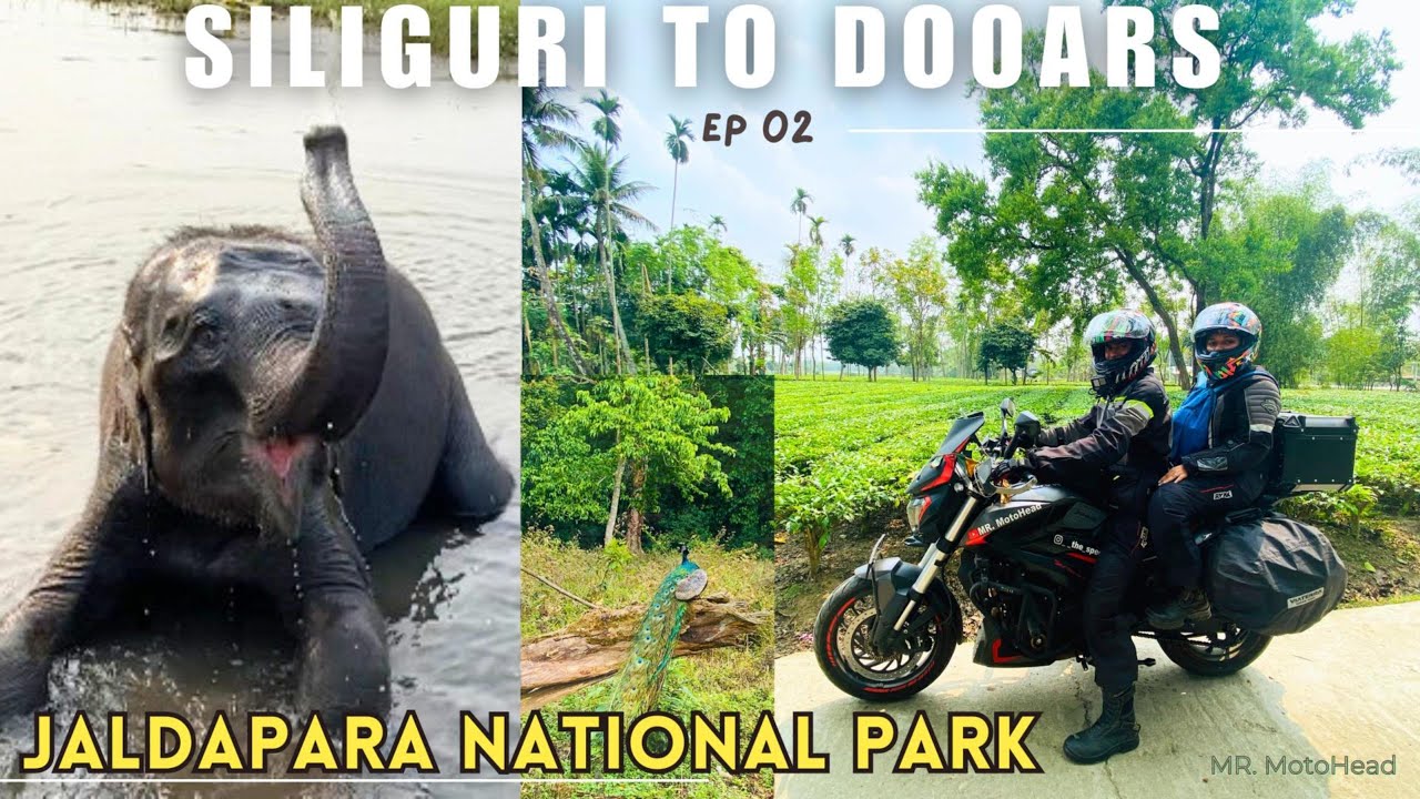 Siliguri To Dooars | Jaldapara Jungle Safari | Kolkata To North Bengal Bike Trip | 2024 | EP 02