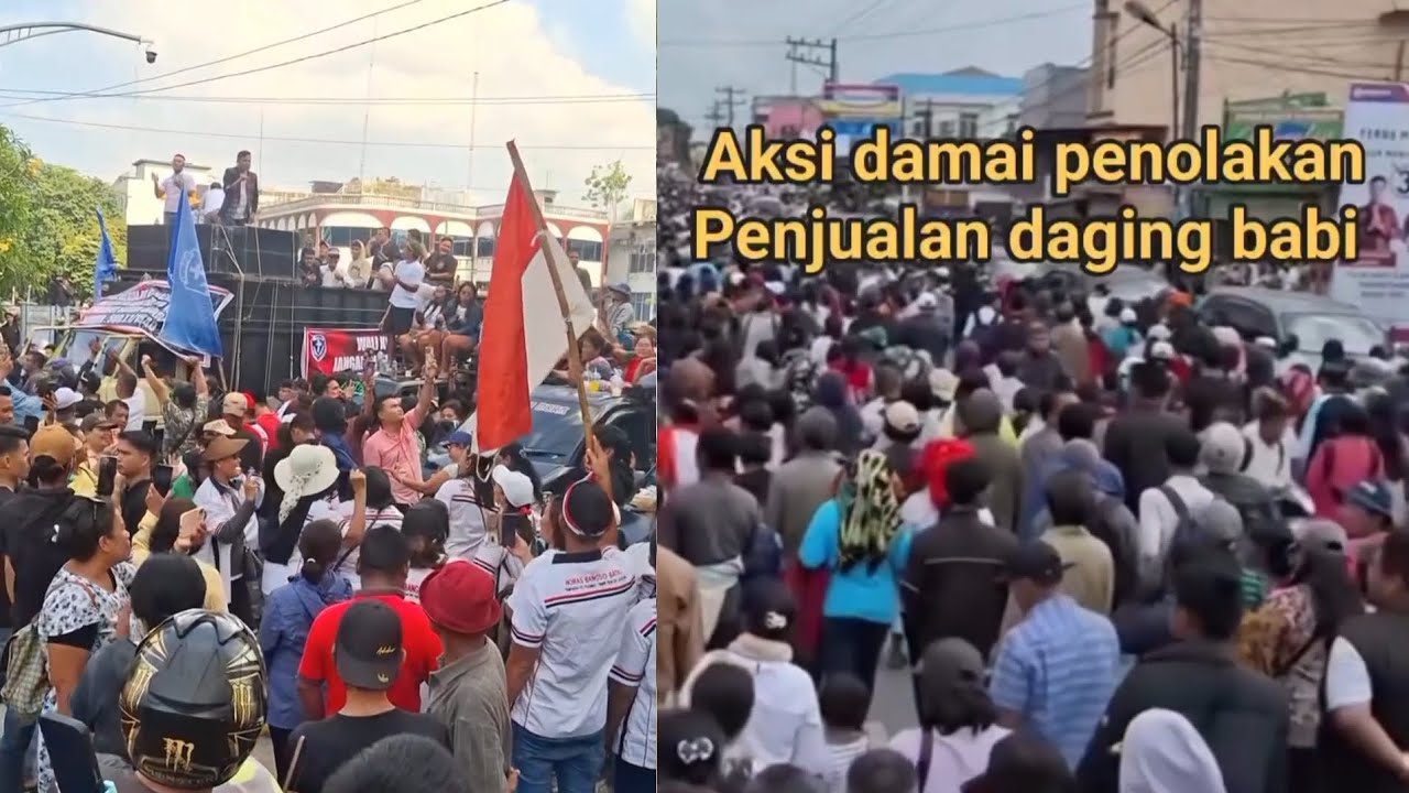 AKSI UNJUKRASA DI KOTA MEDAN RIBUAN WARGA SUARAKAN HIDUP BABI.... SAVE BABI