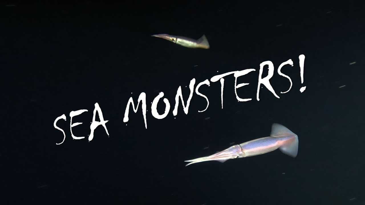 Kona Magic Pelagic Blackwater Scuba Dive