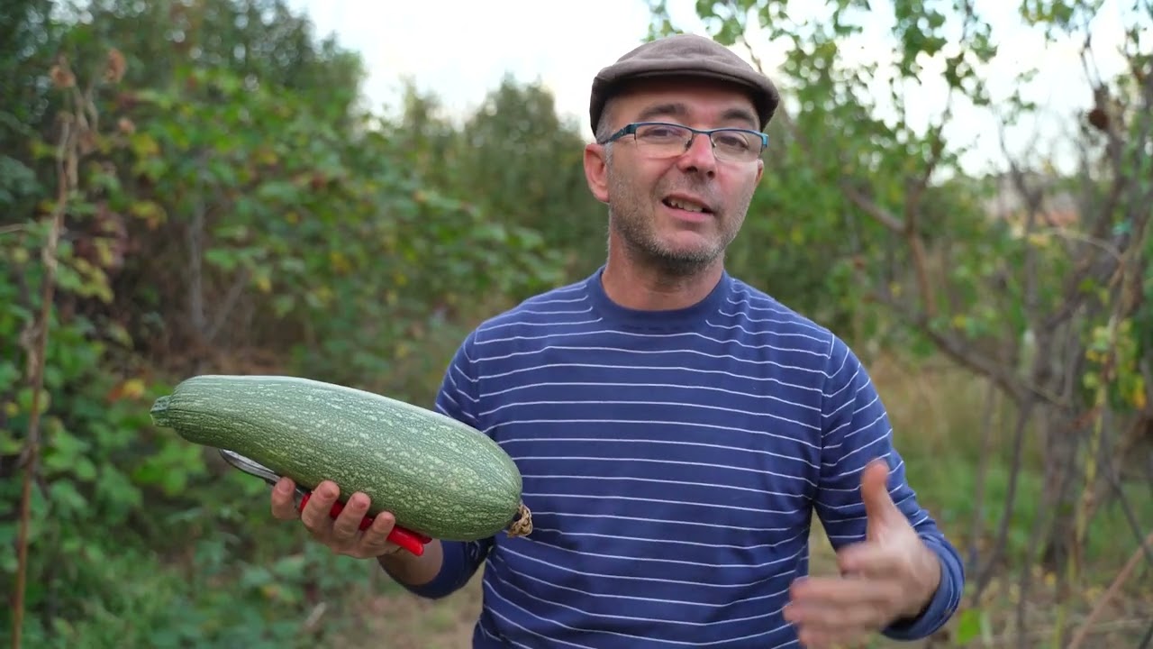Tajna mog vrta ep. 145 10.11.2023. Boranija, matičnjak, tikvice, kuous, rotkve