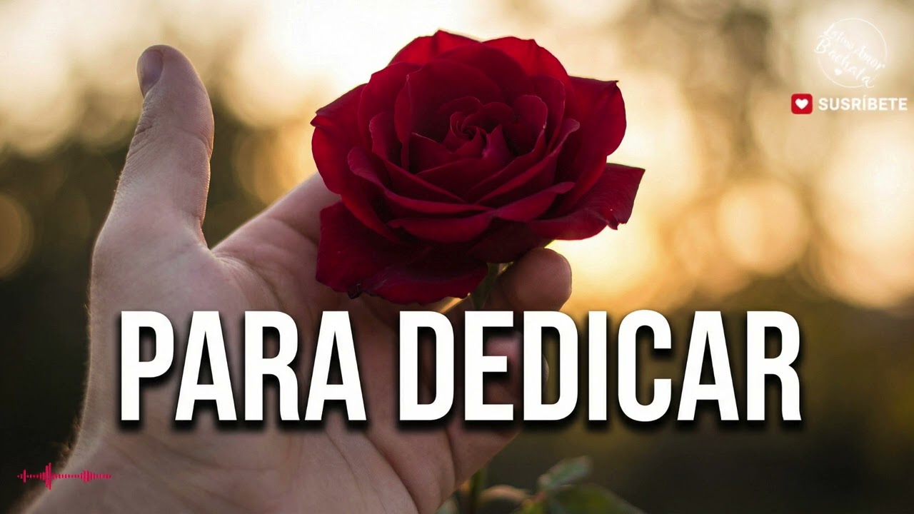 Canciones de Bachata para Dedicar | Amor y Corazón 2026