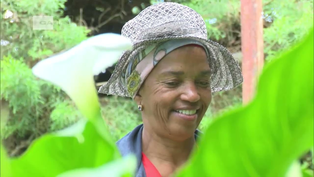 La Gran Piedra: flora y fauna exótica en Santiago de Cuba