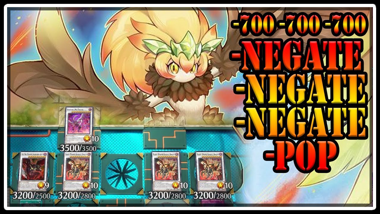 So Much Disruption! Competitive Master Duel Tournament Gameplay!