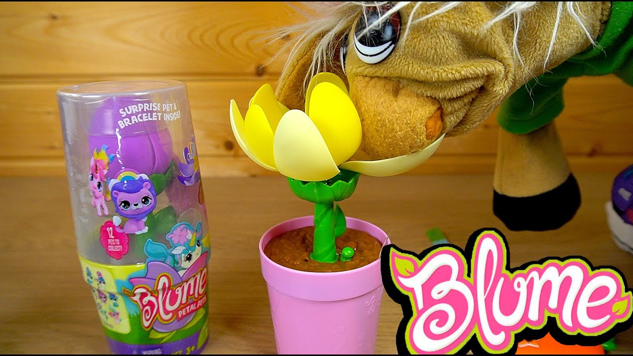 БЕСКОНЕЧНЫЙ ЦВЕТОК БЛЮМ Blume Petal Pets