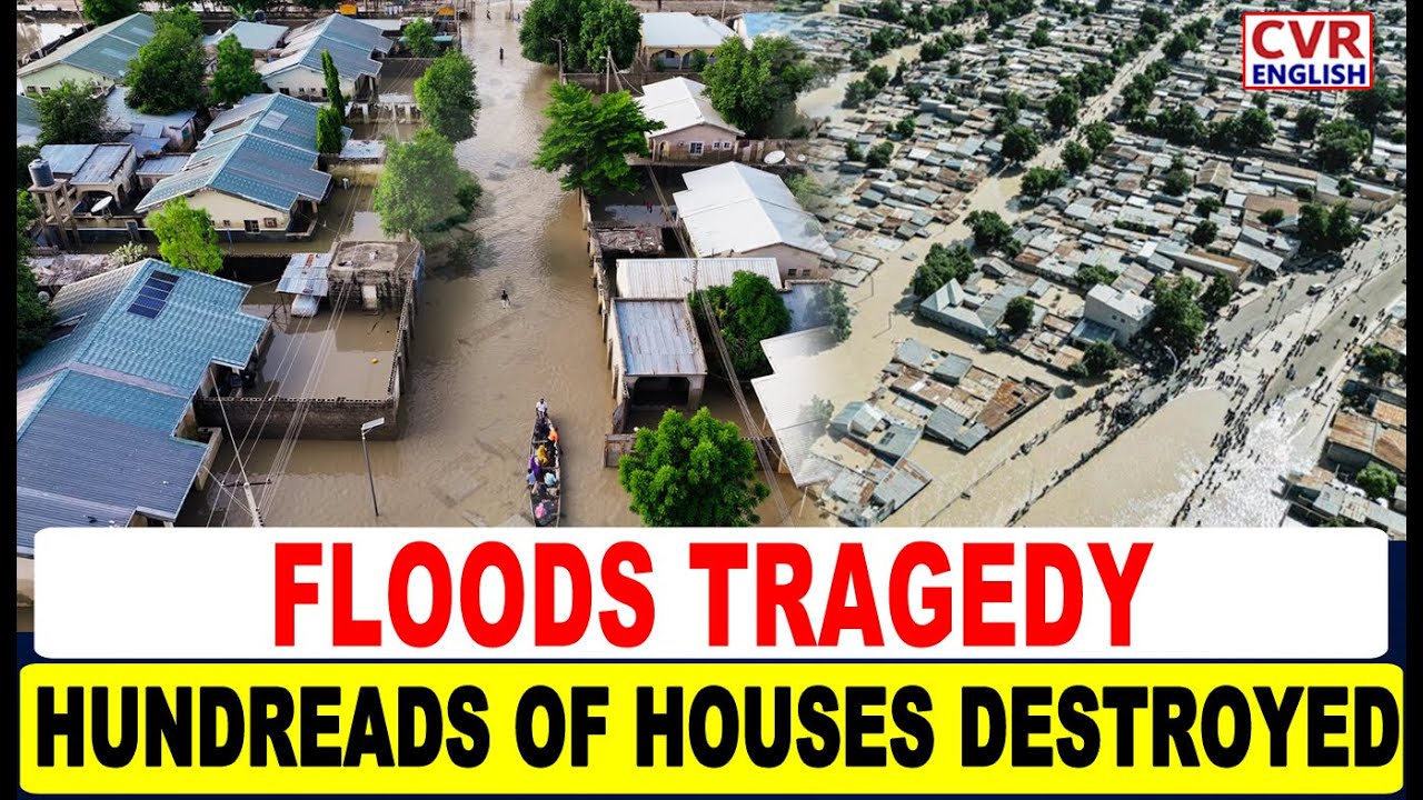 Hundreds of Houses Damaged in Northeast Nigeria Flood | Devastating Impact  | CVR English