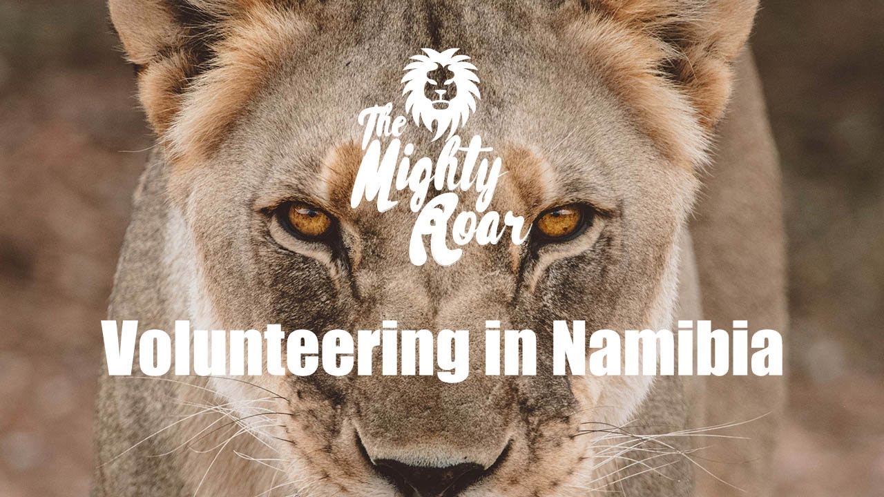 Volunteering in Namibia