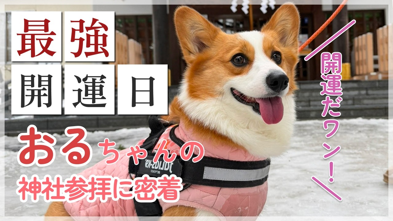 おるちゃん開運日に西野神社へ参拝！