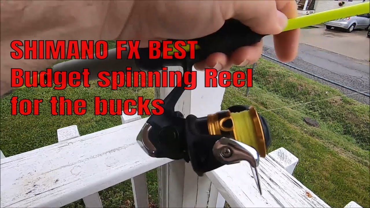Review and testing on The  SHIMANO FX 1000 why i think its the best budget ultralight spinning reel