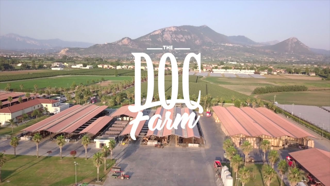 The Doc Farm - AZIENDA AGRICOLA BARLOTTI - INTRO