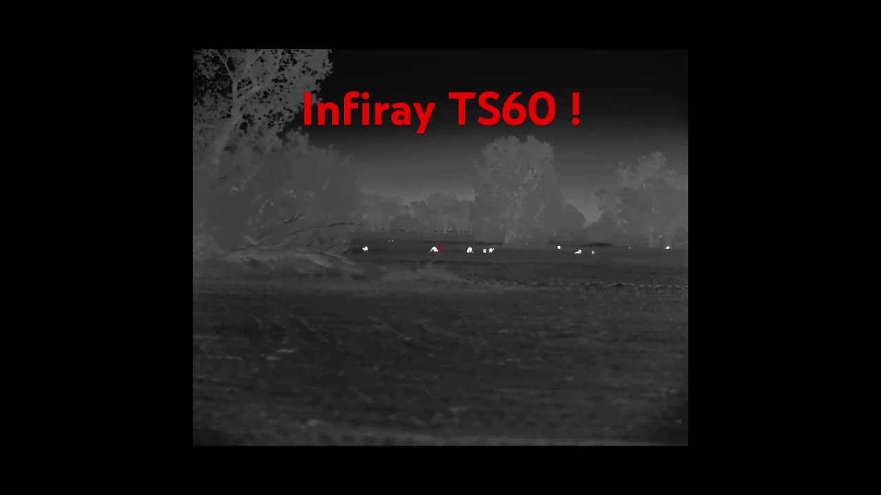 Infiray tube TS60
