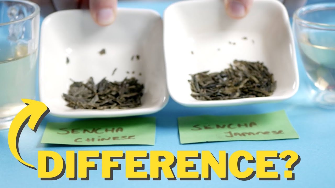 Tested: Japanese VS Chinese Sencha Green Tea