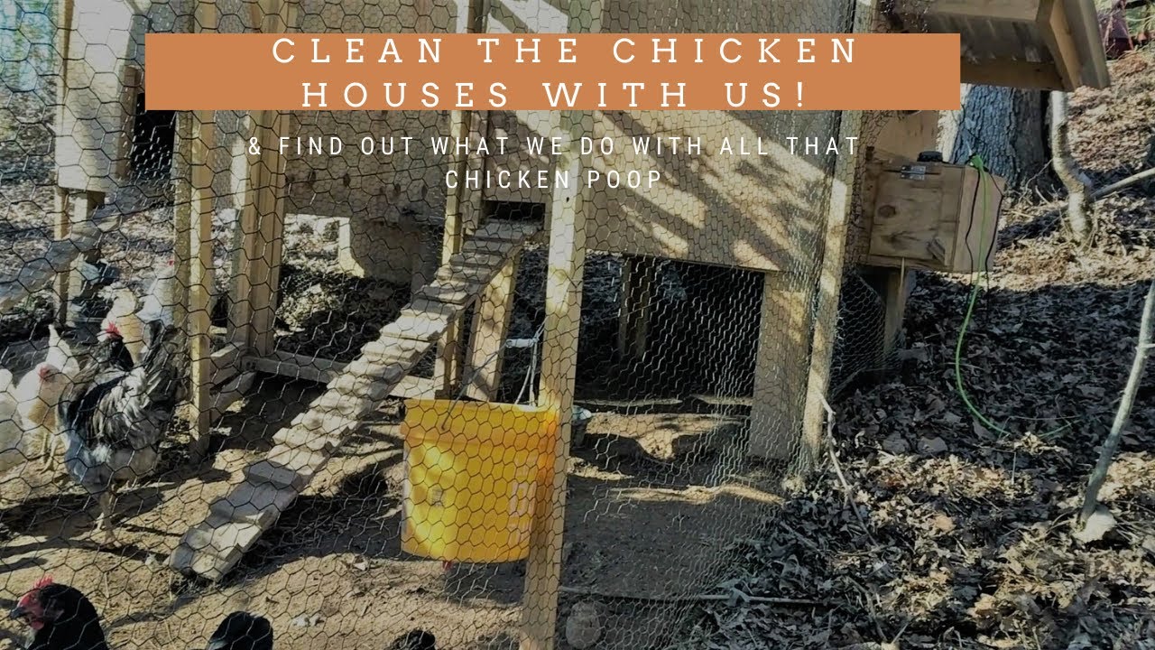 Clean the Chicken Houses With Us & Find Out What We Do With ALL THAT POOP!!