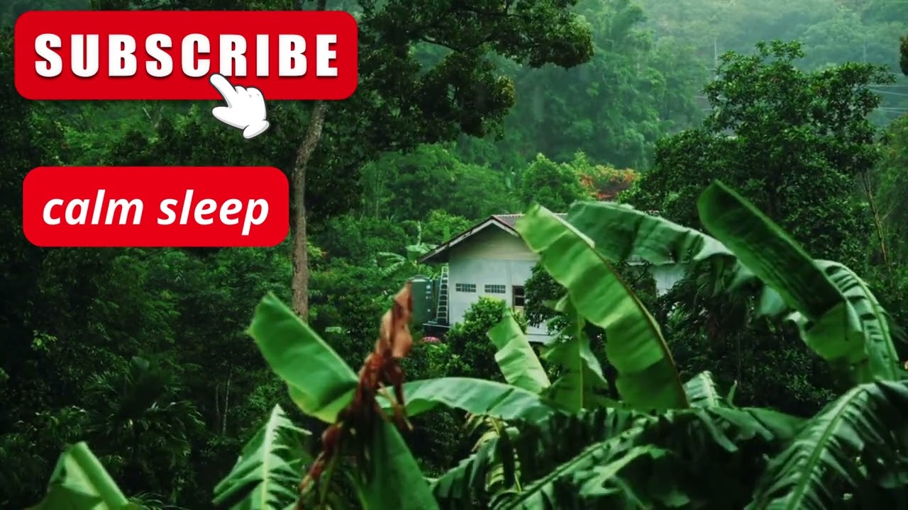 Overcome Stress to Sleep Instantly with Heavy Rain & Paramount Thunder Sounds on a Tin Roof at Night