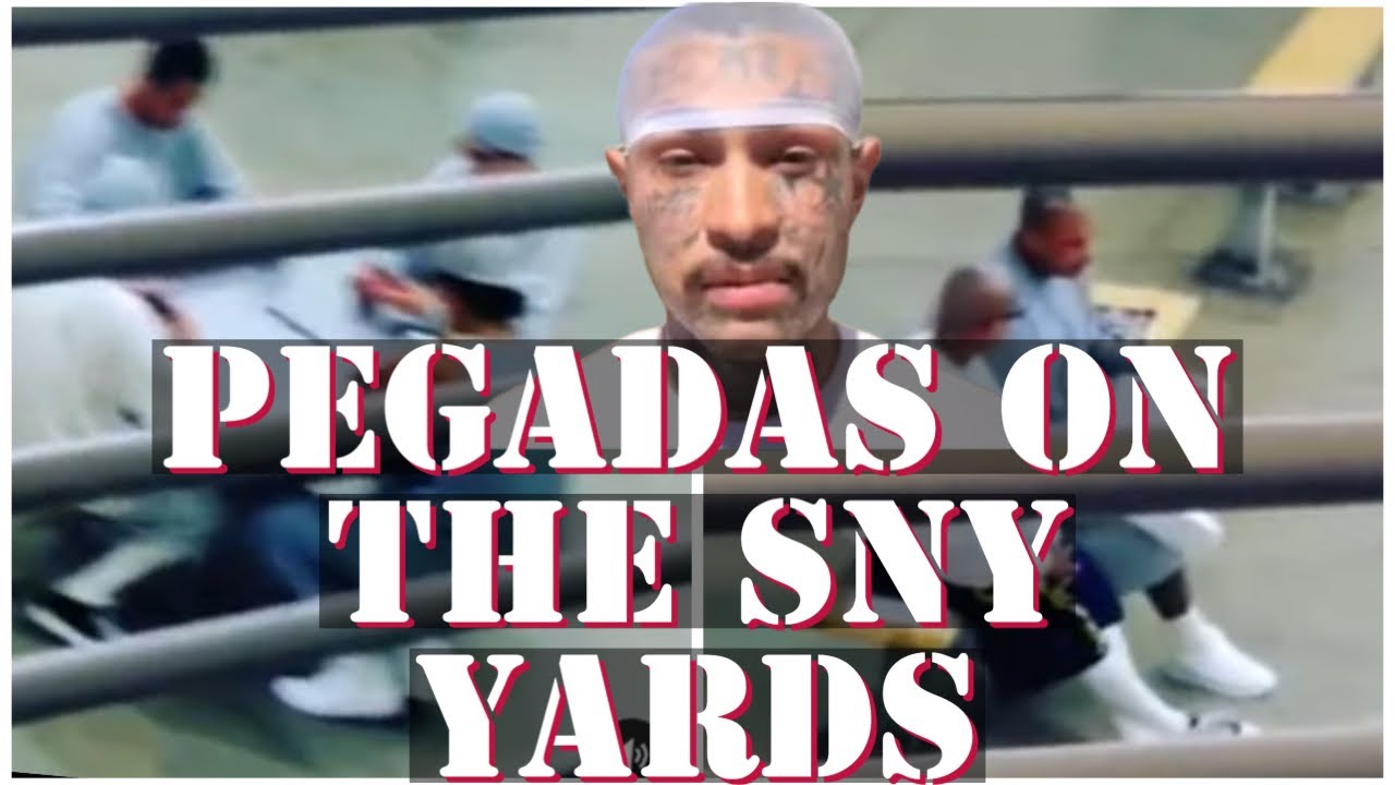GETTING REMOVED ON THE SNY YARDS…WHERE DO YOU GO AFTERWARDS👀😳😵#crimestory #trending #goingviral