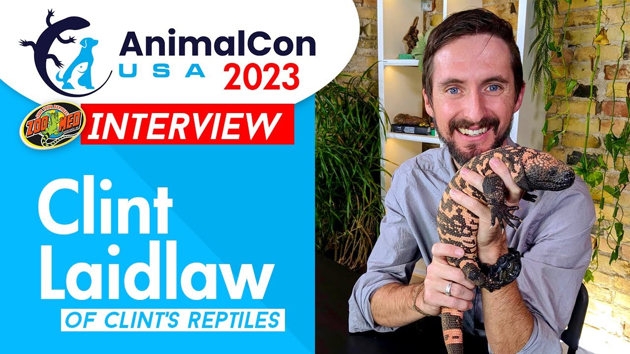 Clints Reptiles Interview - AnimalCon USA 2023