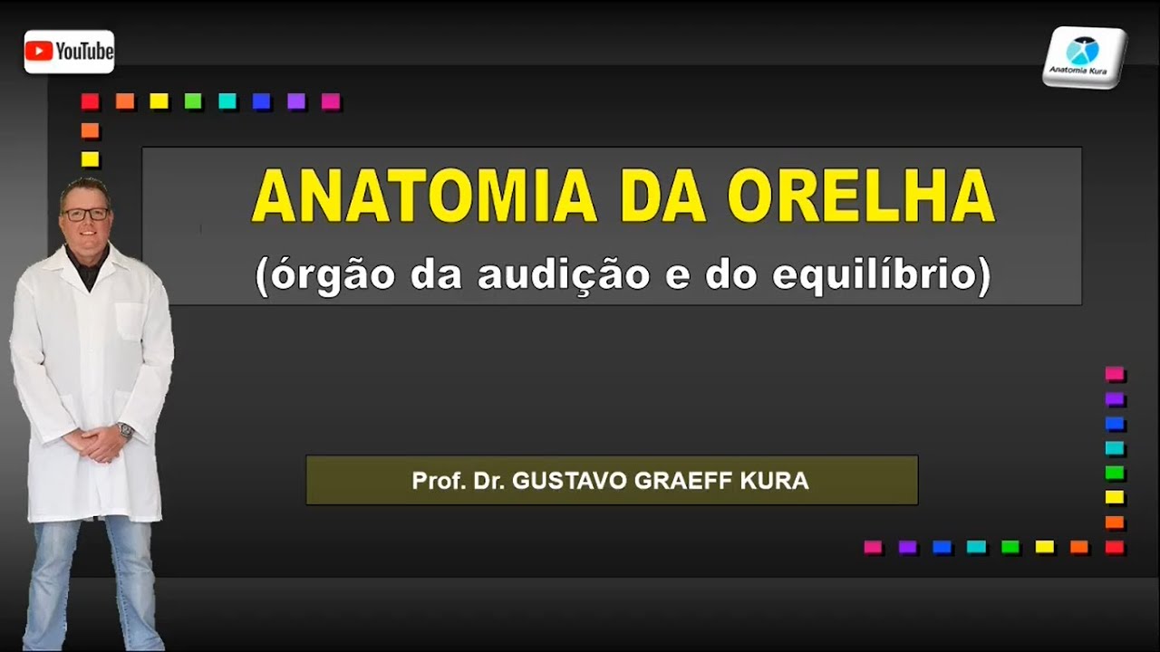 Anatomia da orelha
