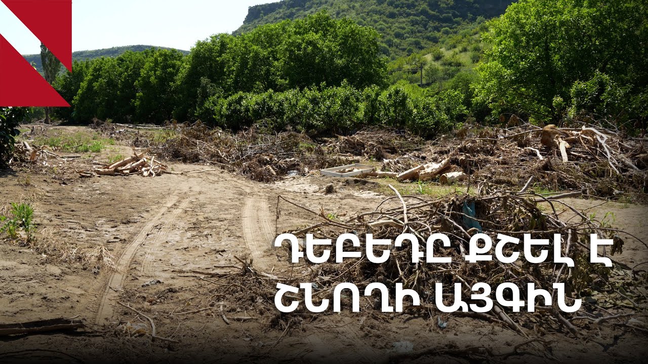 Շնող․ Դեբեդը քշել-տարել է Մոնիկայի ծառերը