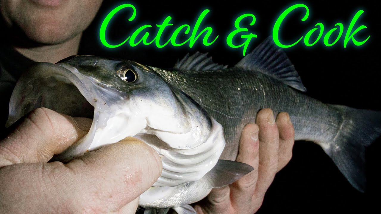 Beach Fishing in the UK Catch & Cook | Sea Fishing UK