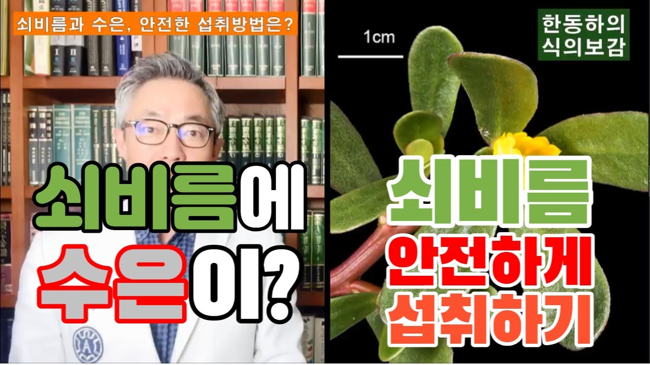 [식의보감] 수은이 들어있다는 쇠비름, 안전하게 섭취하는 방법은 없을까?