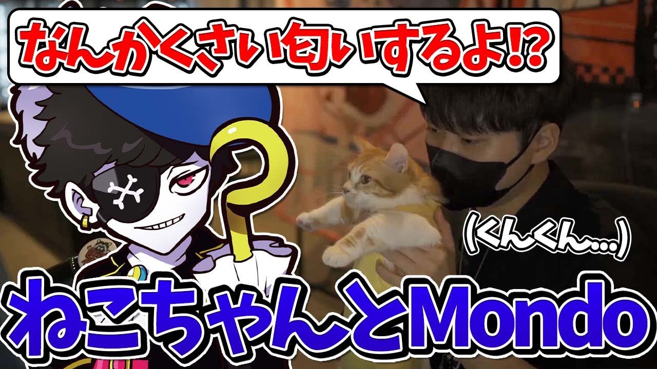 【Mondo切り抜き】猫ちゃんをカメラの前に連れてくるも匂いを嗅いで驚くMondo【雑談/顔出し】