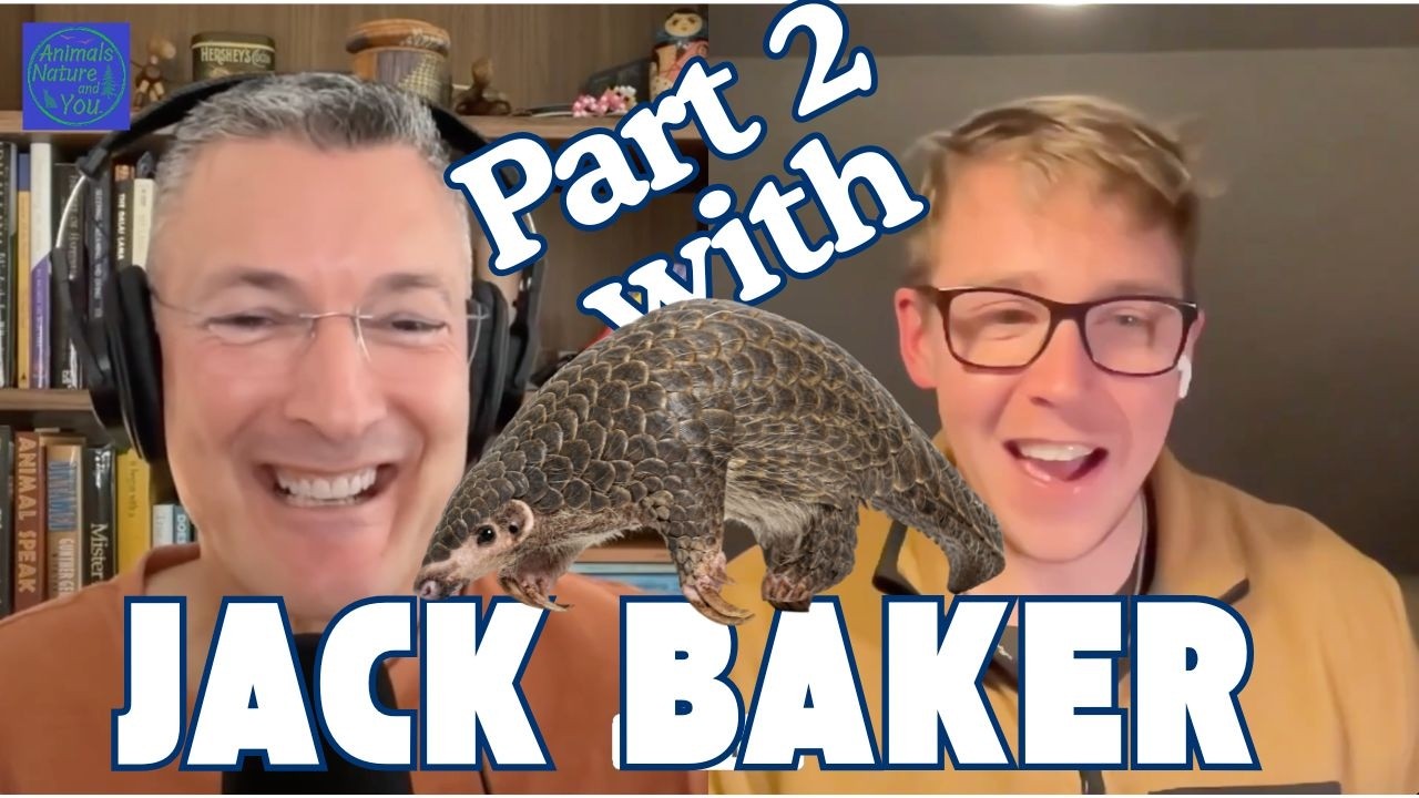 Can a Pangolin Change the Course of Your Life? An Inspirational Chat with Jack Baker Pt.2
