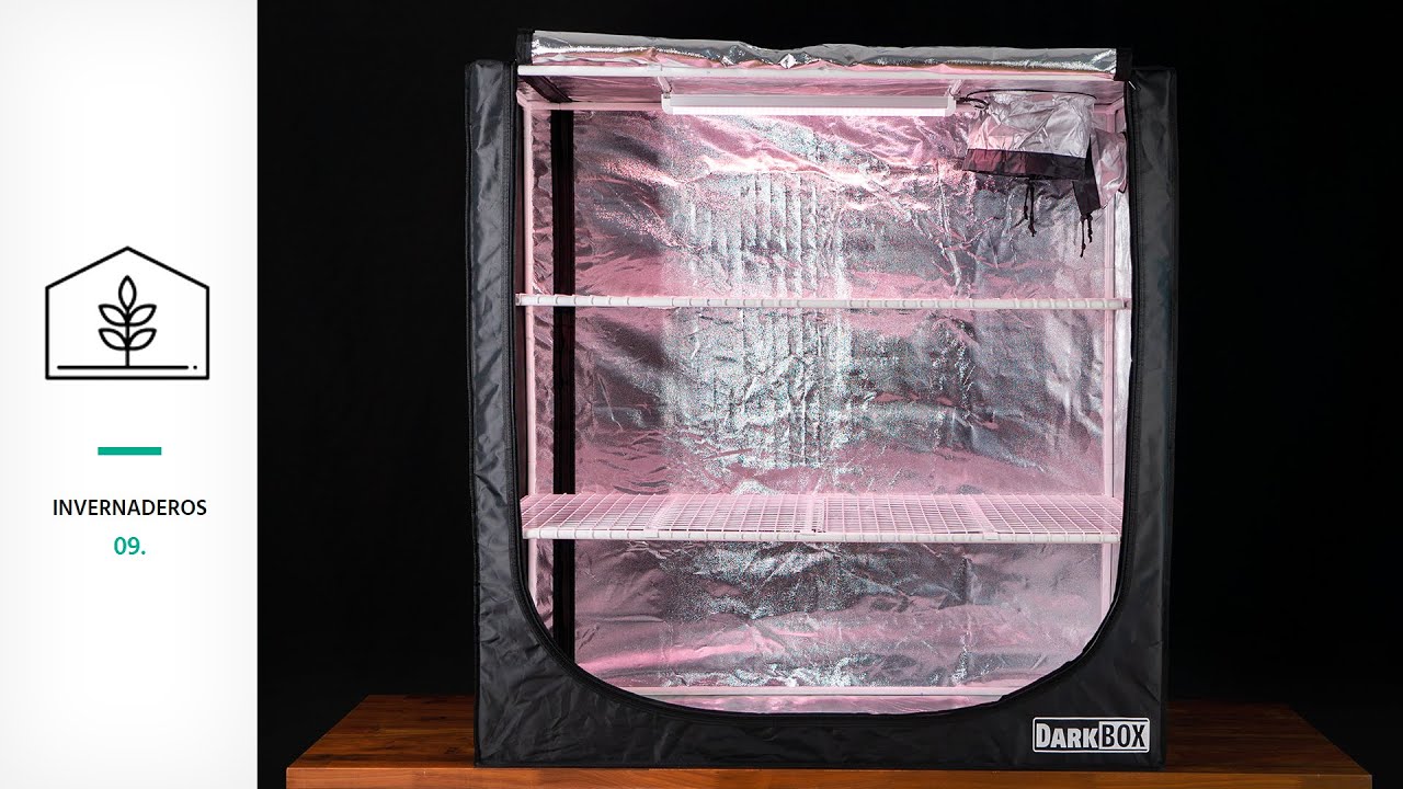 DARK BOX PROPAGATOR | ARMARIO DE CULTIVO, ESQUEJES Y GERMINACI&Oacute;N | HORTITEC