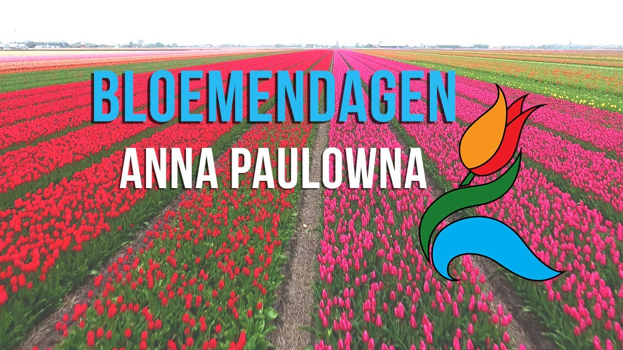 Bloemendagen | Anna Paulowna (Netherlands)