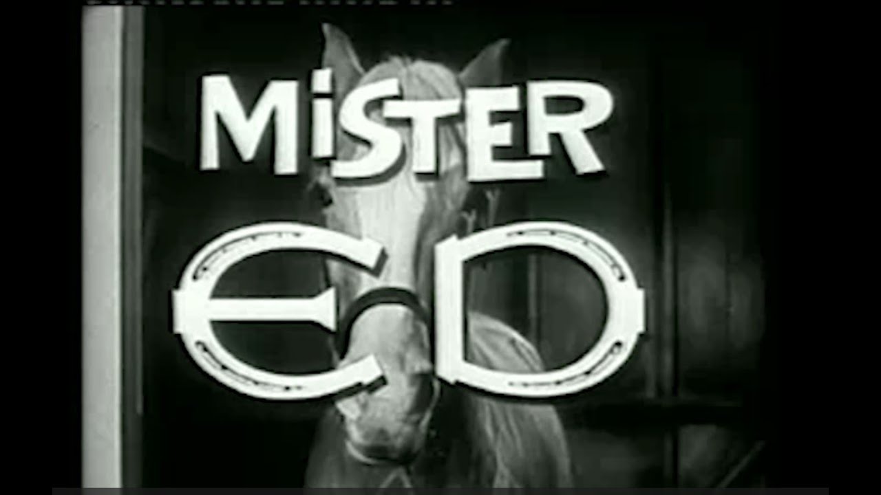 Mr Ed, Ed the Beneficiary Classic TV