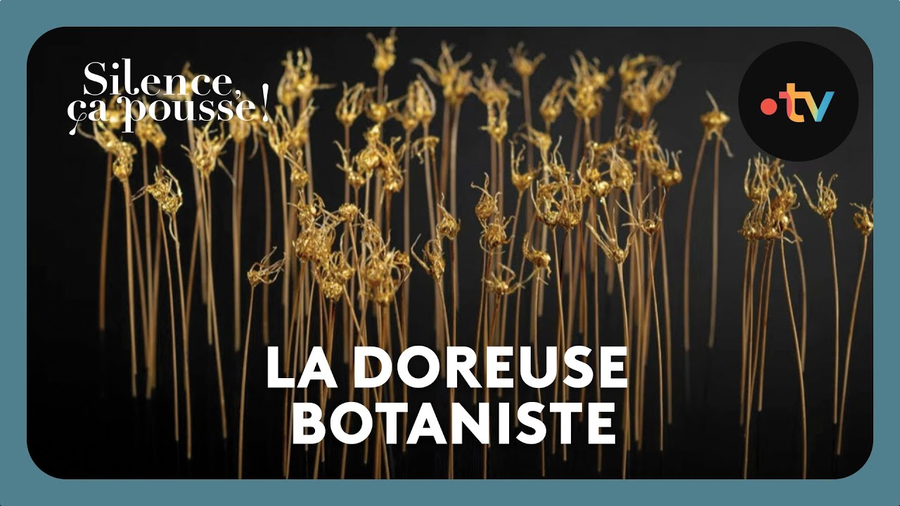La doreuse botaniste - Silence, ça pousse !  8 Février 2025