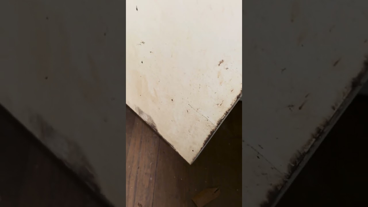 【超高難易度】横須賀再生区分ビフォー動画(未編集)