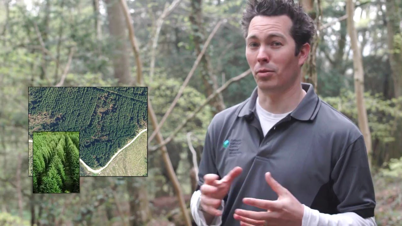Wye Valley Woodlands