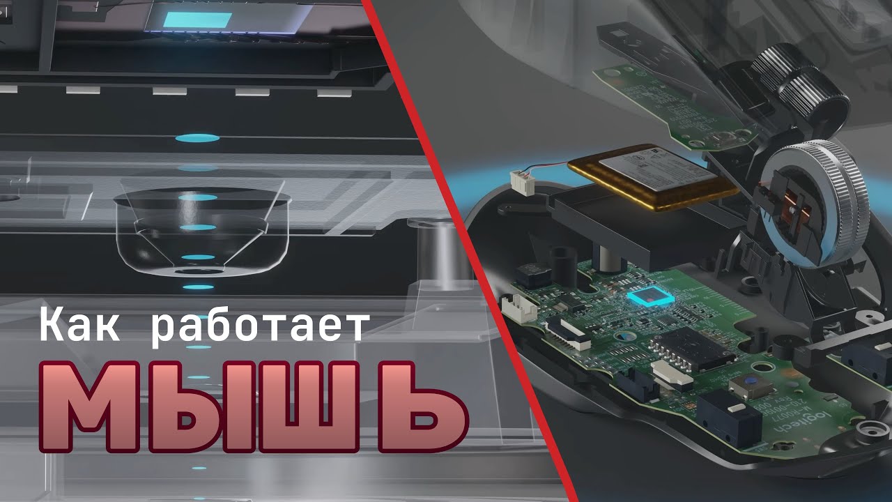 Как работает компьютерная Мышь? Зрение компьютерной Мыши [Branch Education на русском]
