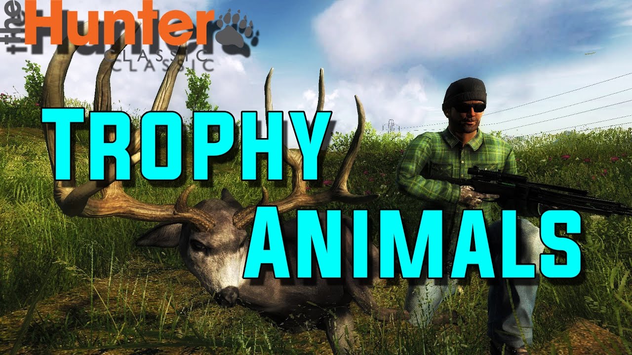 Trophy Animals-theHunter 2017