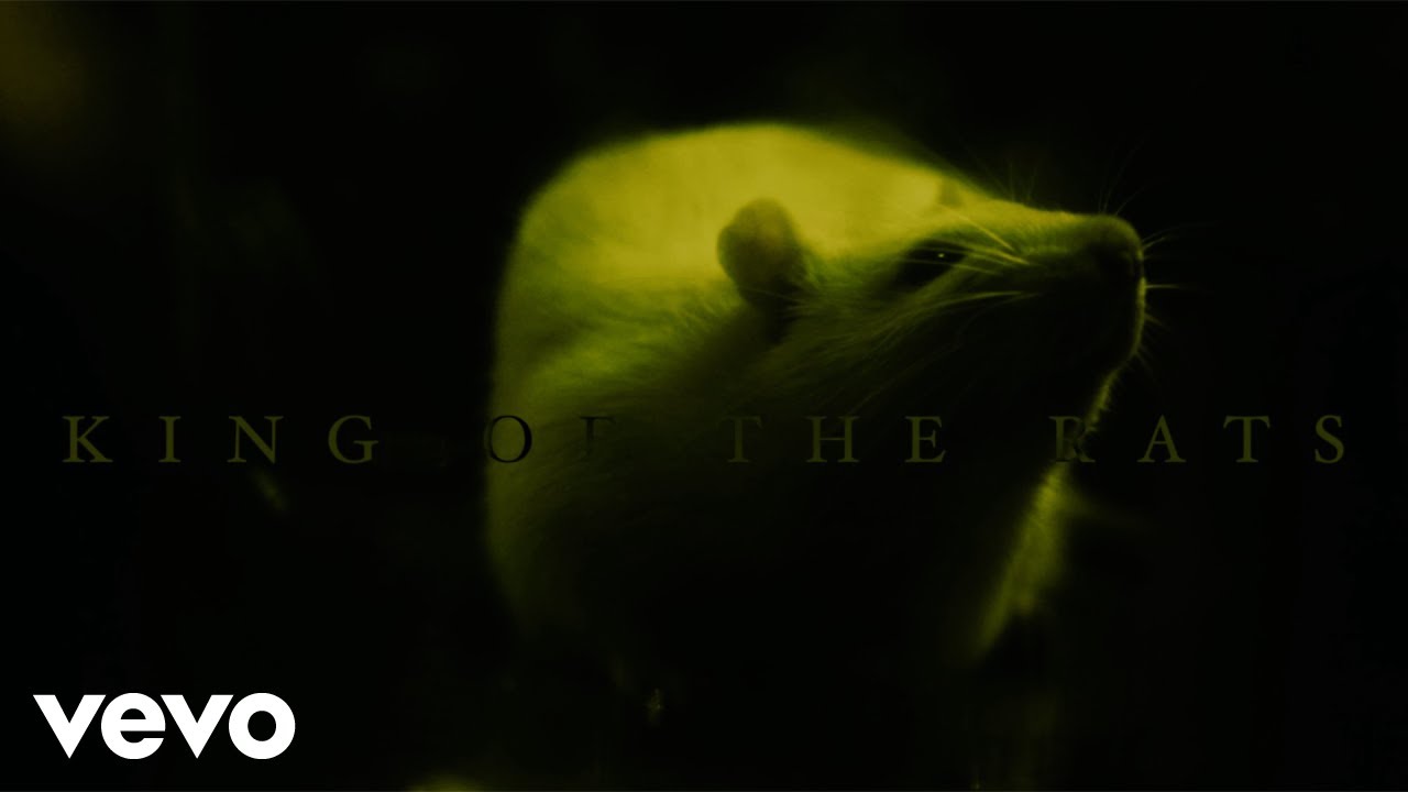 Bodysnatcher - King of the Rats (Official Music Video)