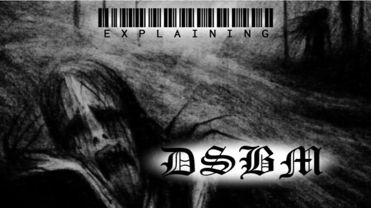 Explaining DSBM